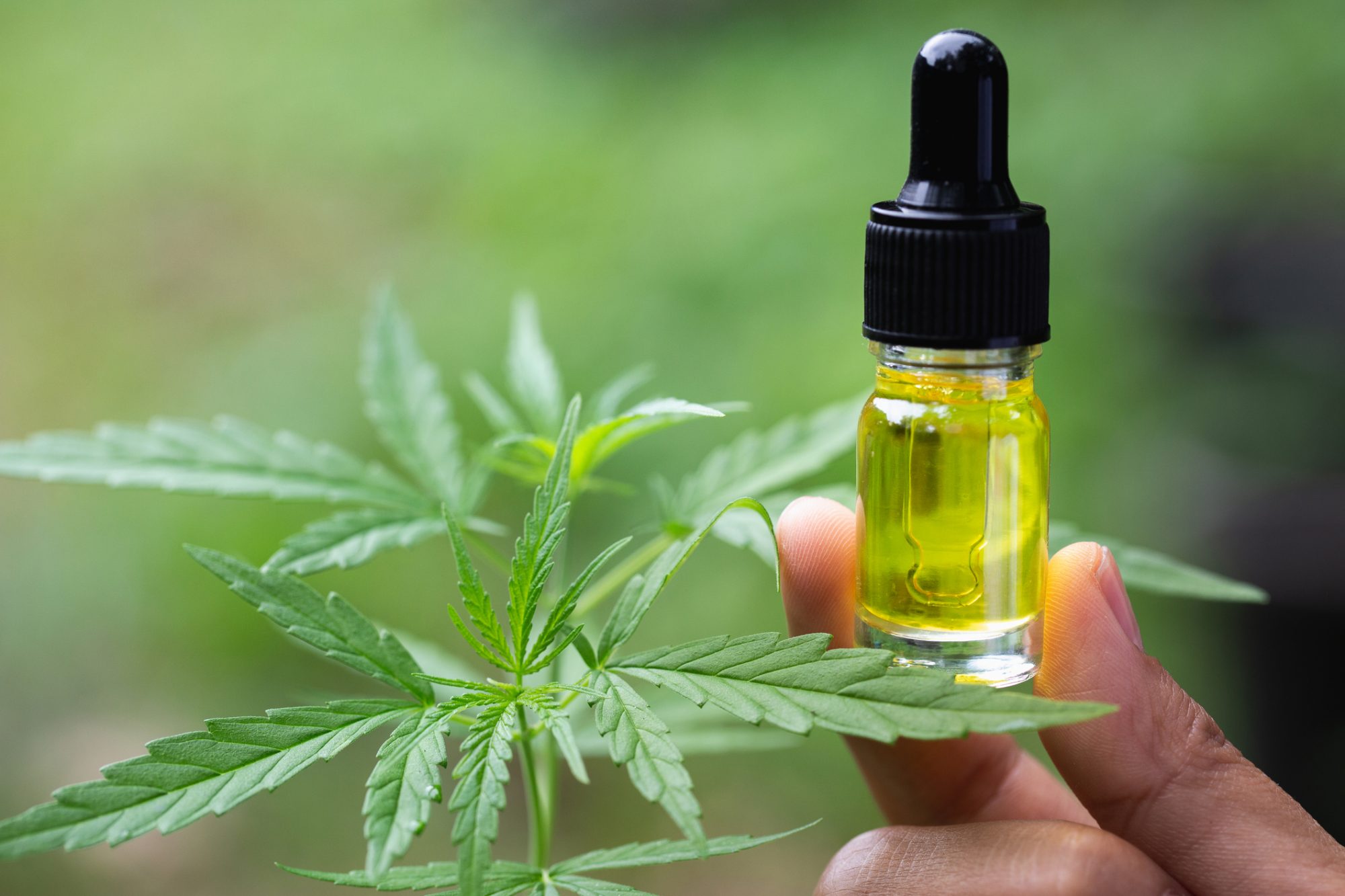 Learn These Wonderful Benefits Of CBD Additives