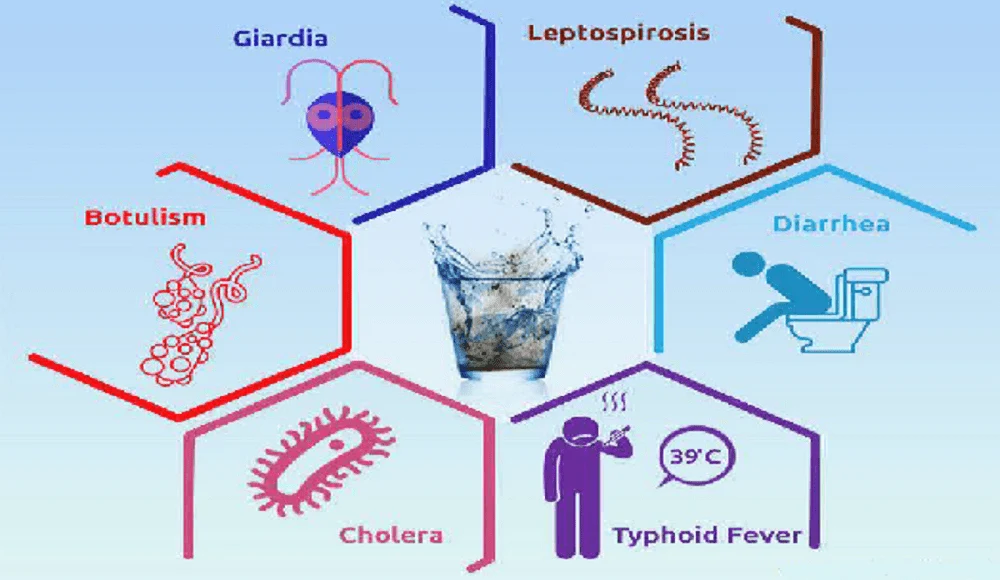 Waterborne Disease and its Common Types