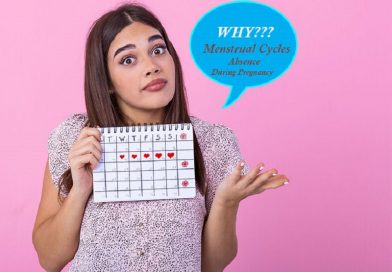 Why Are Menstrual Cycles Absent During Pregnancy