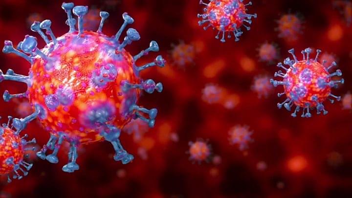 Will COVID-19 Virus Die In Summer? coronavirus