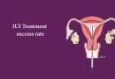 IUI Treatment success rate